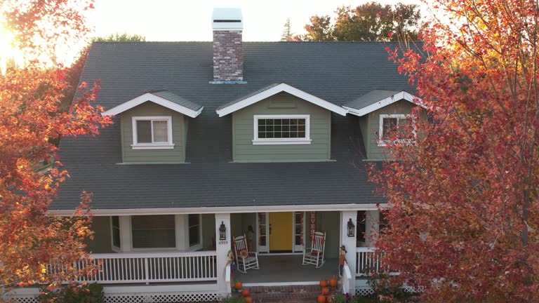 Best Roof Maintenance and Cleaning  in Carey, OH