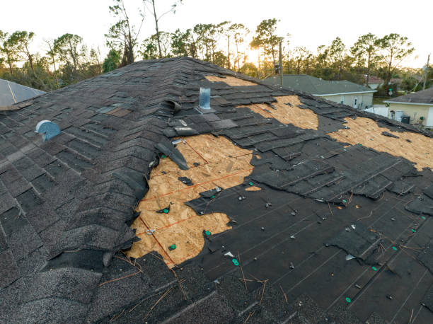Skylights in Carey, OH